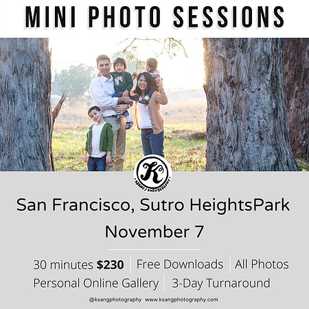 Mini Photo Sessions