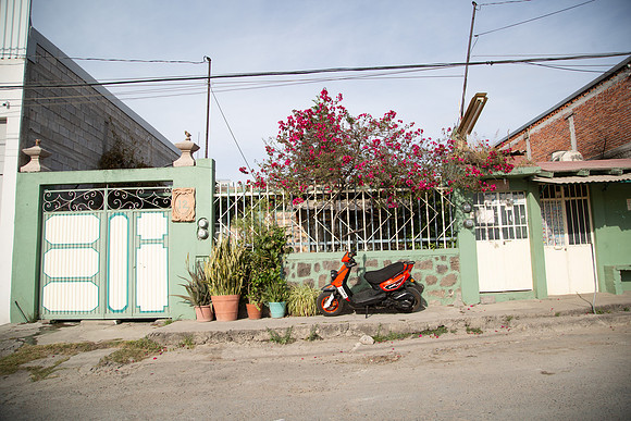 KDS_7997