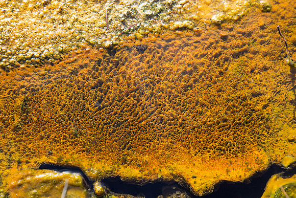 yellowstone.-5
