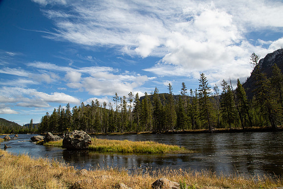 yellowstone.-1