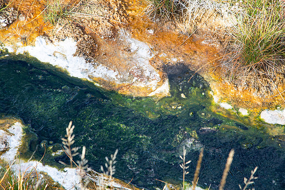 yellowstone.-2