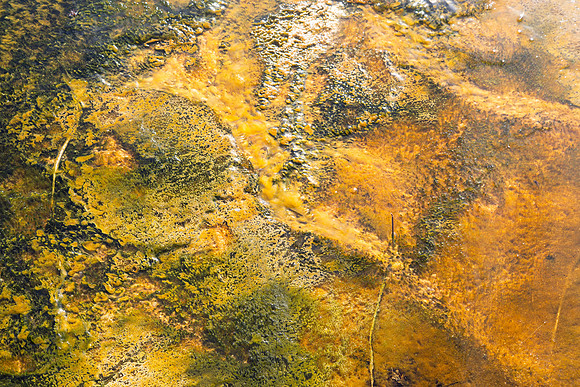 yellowstone.-4