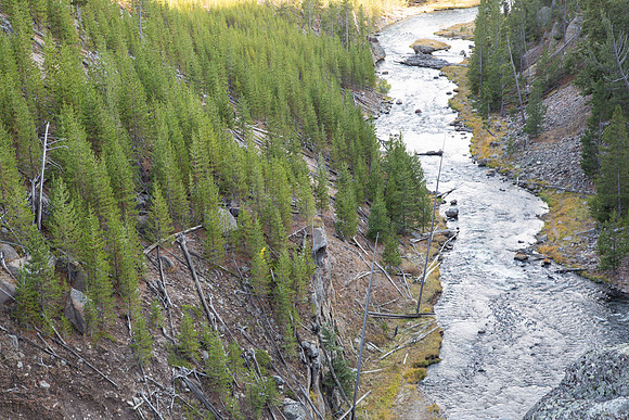 yellowstone.-10