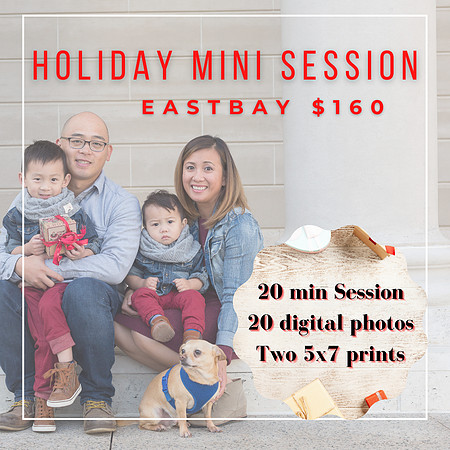 Holiday Mini Session-east bay1)